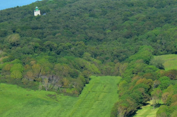 Dans la forêt, le phare émerge de la canopée